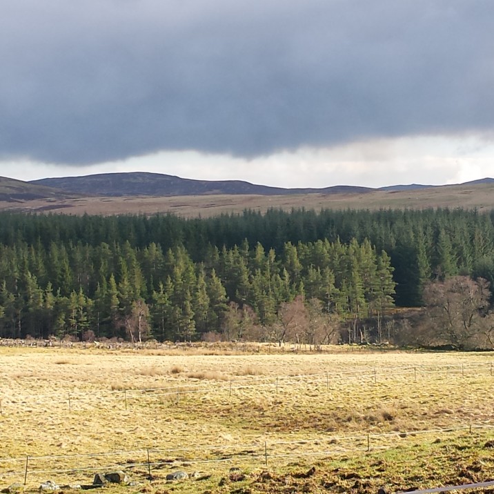 Wide open hillsides make for a stunning walk in Trochry, Perthshire.
