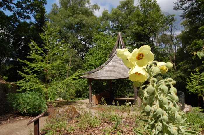 GARDENS - Explorers Garden Hut
