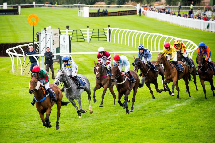 After rocking at the races the previous night, it is back to an afternoon of top-class racing on Wednesday 2nd August in the final fixture of the Mackie's of Scotland Summer Series.