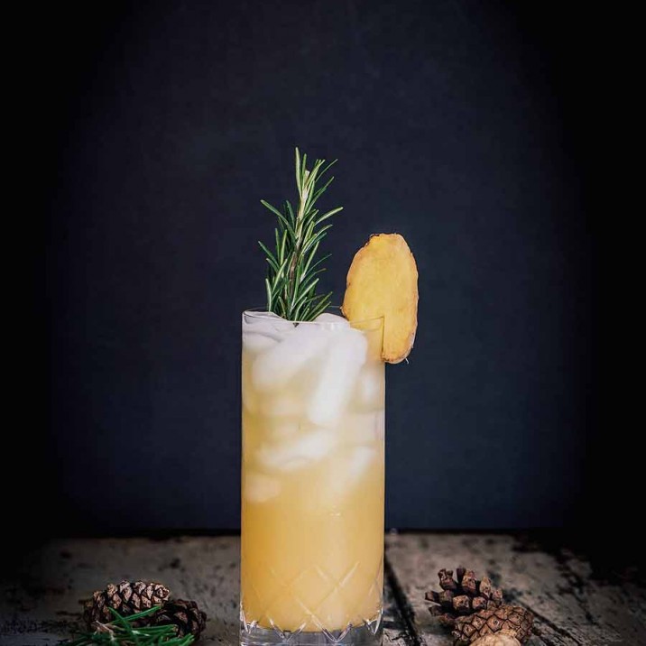 This Gin cocktail is the perfect Festive tipple served with a seasonal sprig of rosemary, perfect!