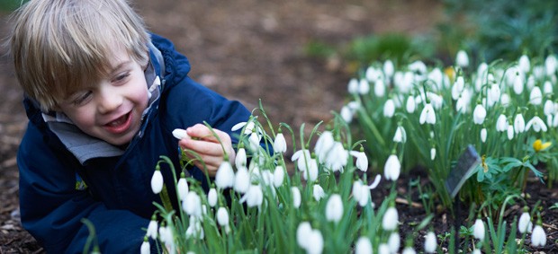 Scone Palace Snowdrops child with flowers