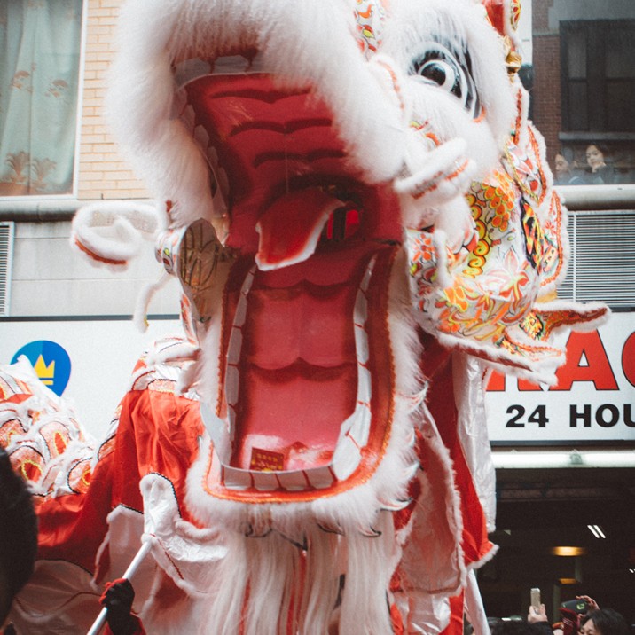 The chinese dragons looked spectacular as part of the Chinese New year celebrations in New York.