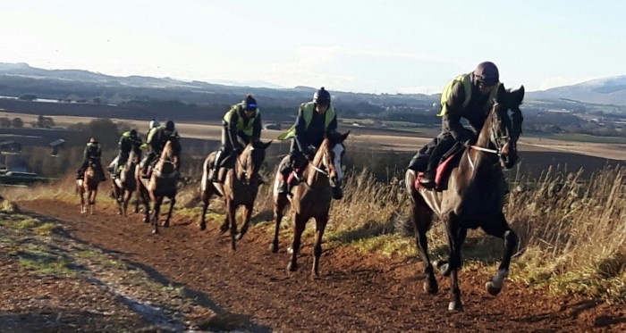 Lucinda Russell - Lucinda&#039;s pic of the horses