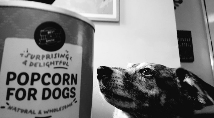 Pooches Review- Doggy Popcorn