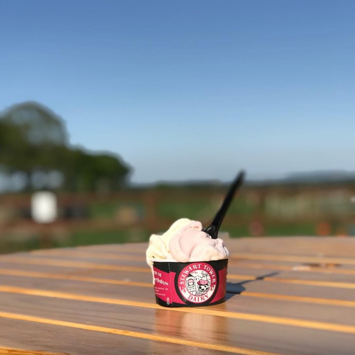 Ice Cream - Stewart Tower Dairy