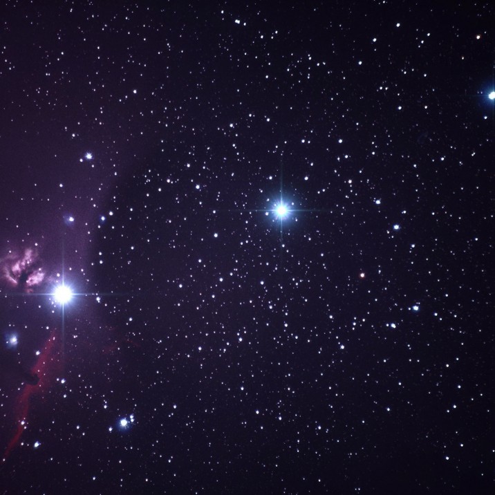 The Flame and Horsehead Nebulas