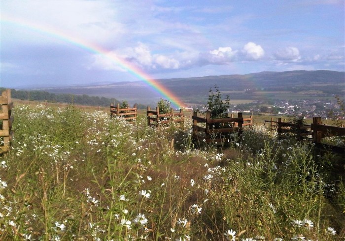 Highland Boundary - Rainbow