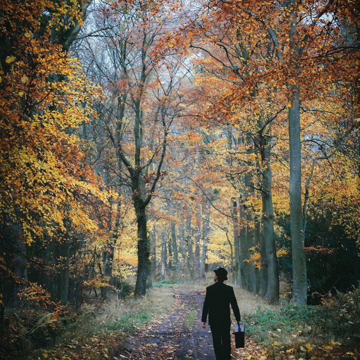 A Charlie Chaplinesque figure walking through the Autumnal leaves...I wonder where he is going?