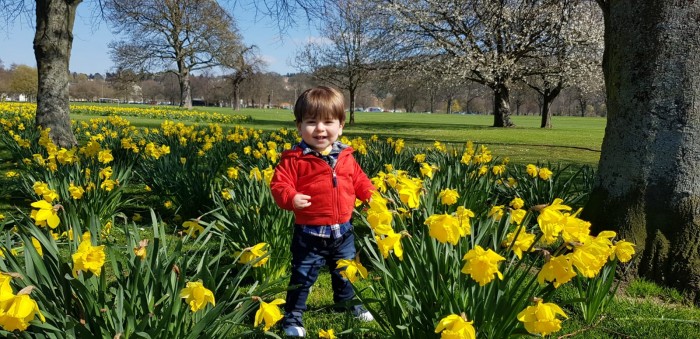 Joel posing in the daffodils at Perth's South Inch as he enjoys the sunshine