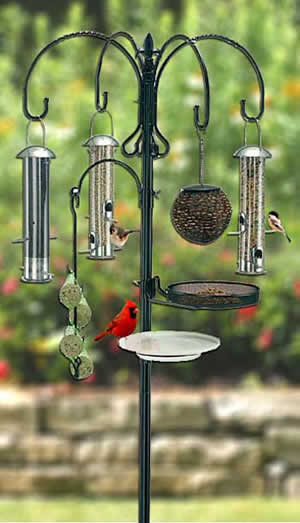 win a deluxe wild bird feeding station with bird feed and