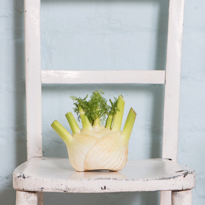 Gorgeous Fennel and orange salad