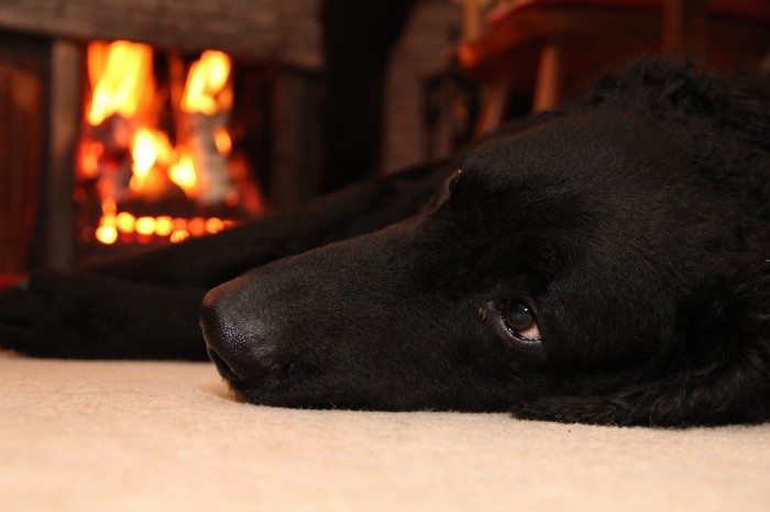 A black labarador lays on a carpet next to a fireplace