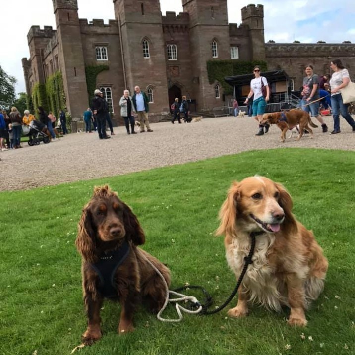 Orla and Goldie enjoyed their day at the Palace. 🤗💕